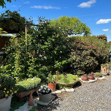 La Casa Di Biba Panzió Massa Lombarda Kültér fotó
