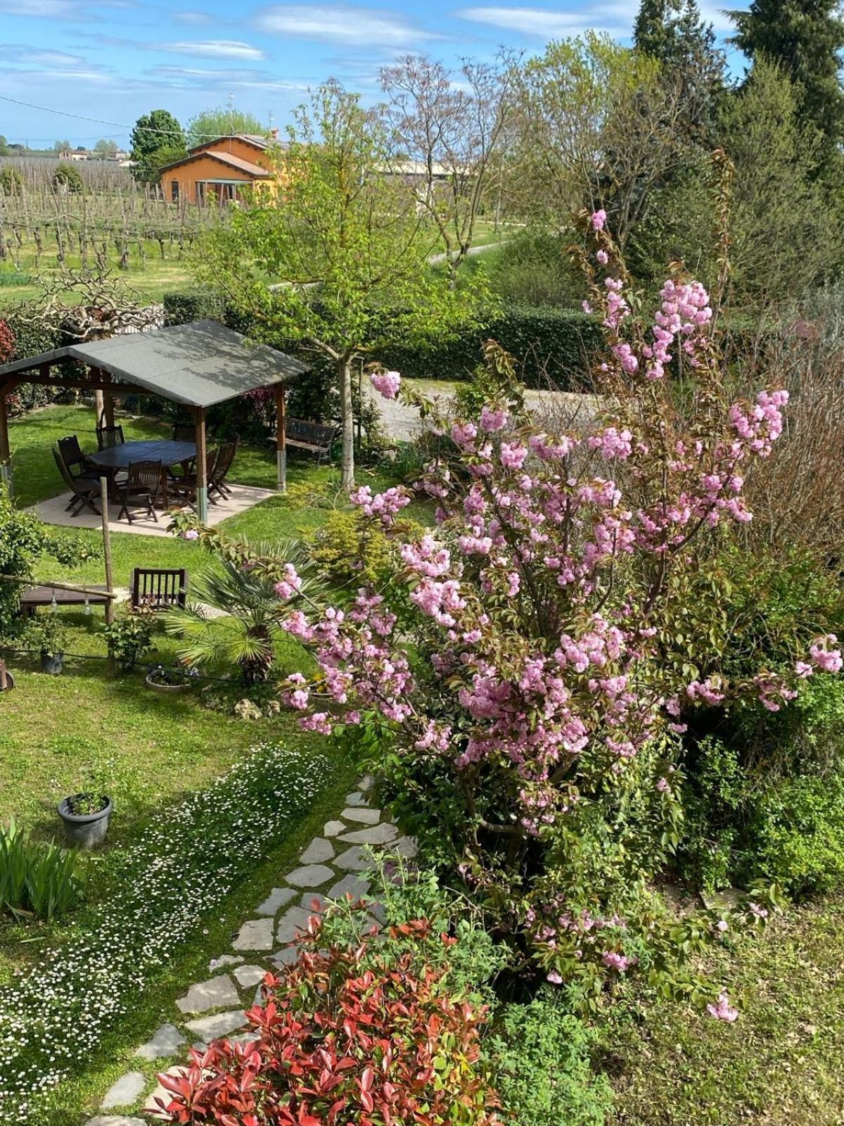 La Casa Di Biba Panzió Massa Lombarda Kültér fotó