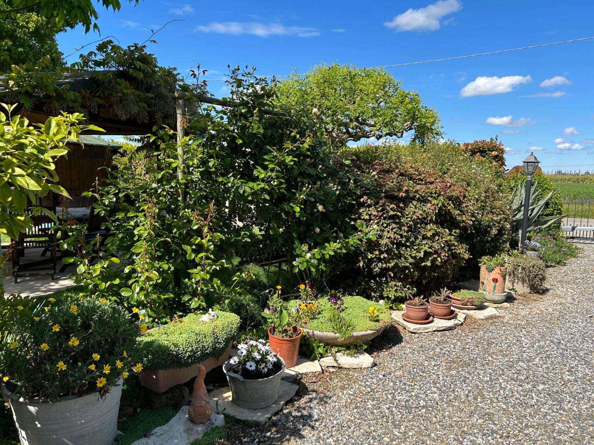 La Casa Di Biba Panzió Massa Lombarda Kültér fotó